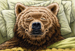 The Bear Chronotype