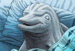 The Dolphin Chronotype