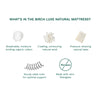 Birch Luxe Natural Mattress