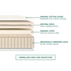 Birch Natural Mattress