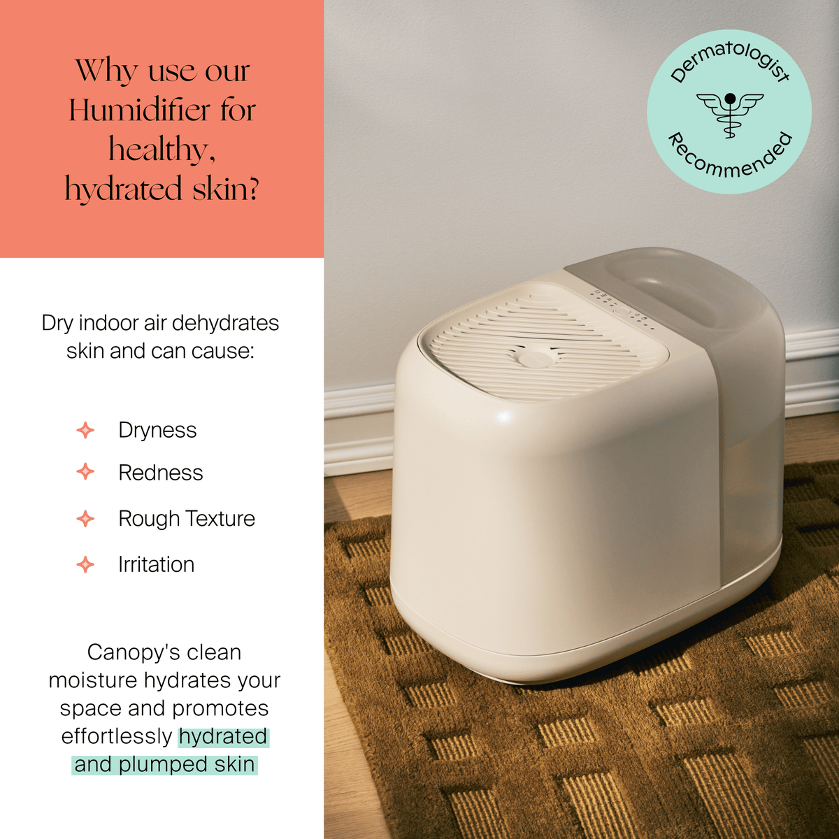 Large Room Humidifier