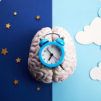 How sleep works