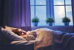 Dreams