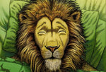 The Lion Chronotype