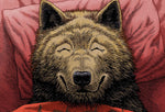The Wolf Chronotype